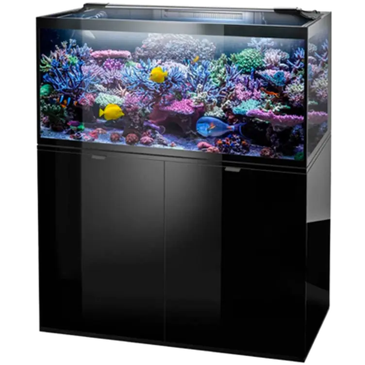 Glossy Marine Aquarium