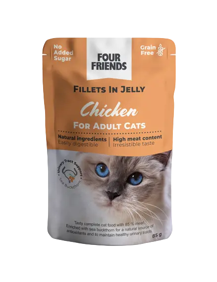 Cat Adult Chicken in Jelly Pouch