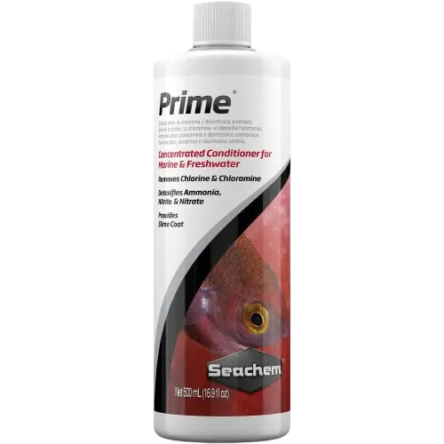 Prime