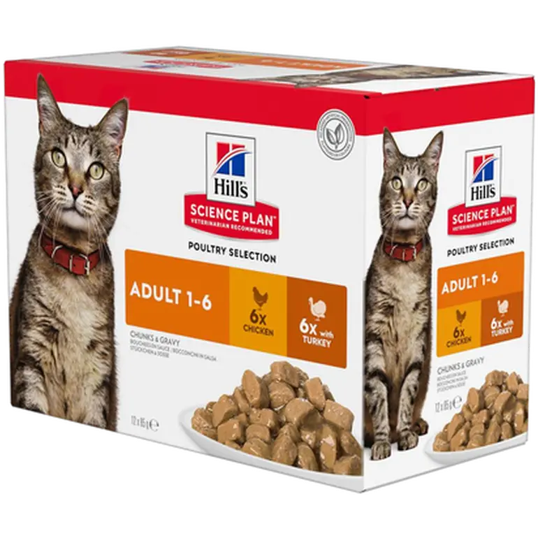 Adult Chicken Turkey Pouch - Wet Cat Food