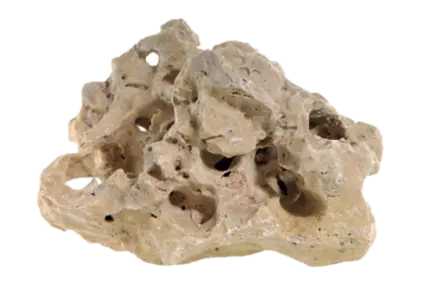 Multi Hole stone - Styck