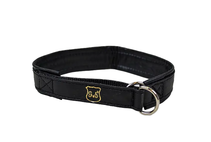 Halsband HS Halvstryp Skinn Svart