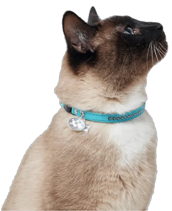 Cat Collar Modern Art Luxus Artificial Leather