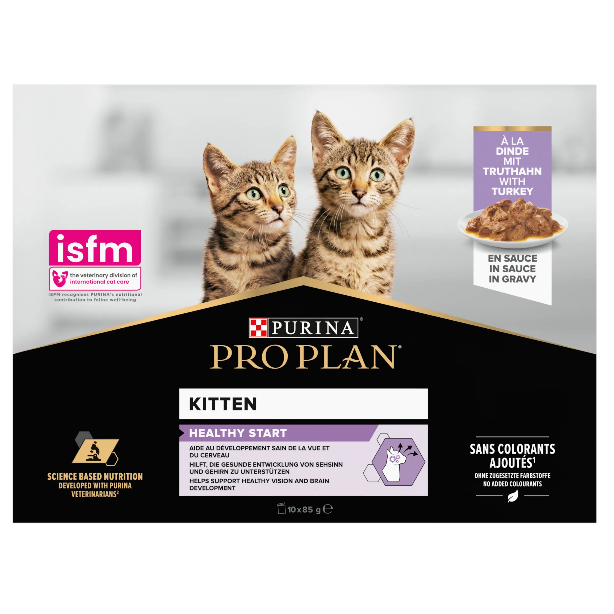 Cat Kitten Turkey