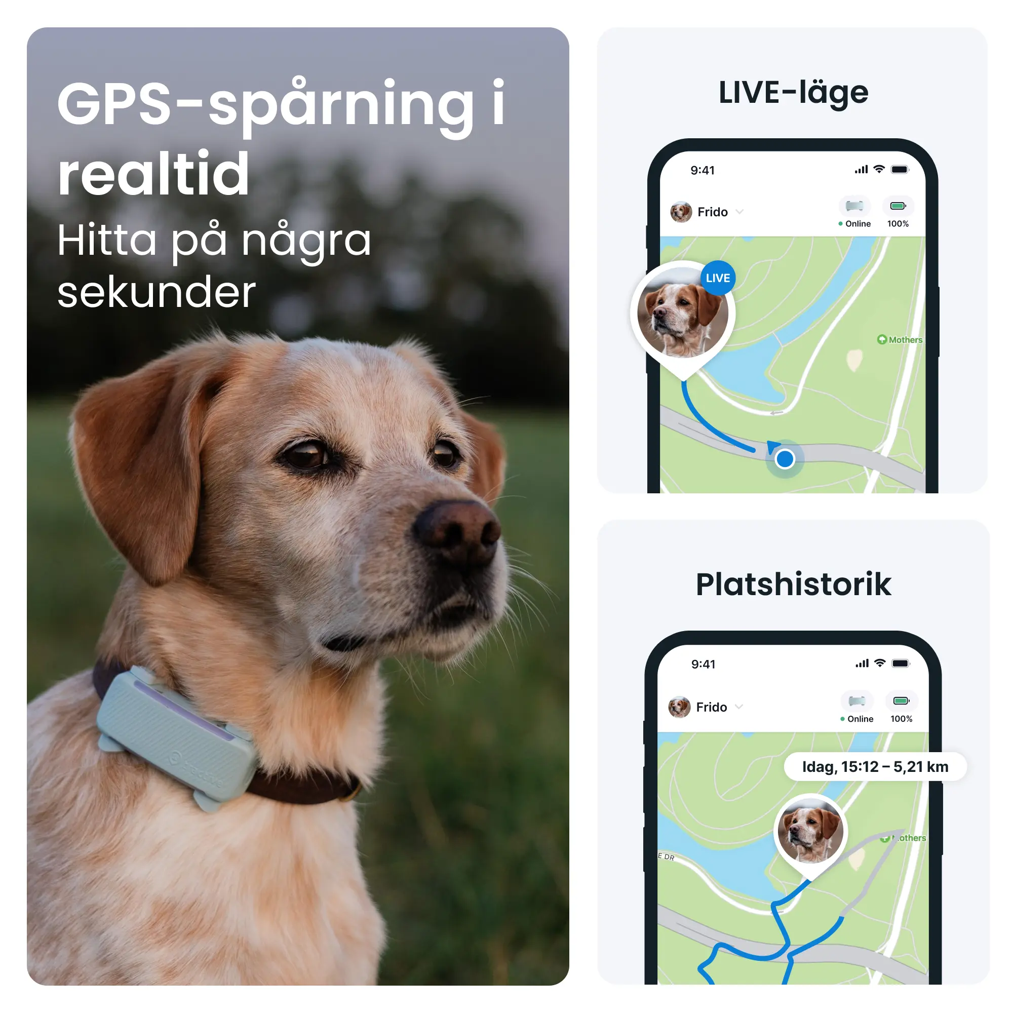 GPS Tracker för Hund Dog 6 - Mint