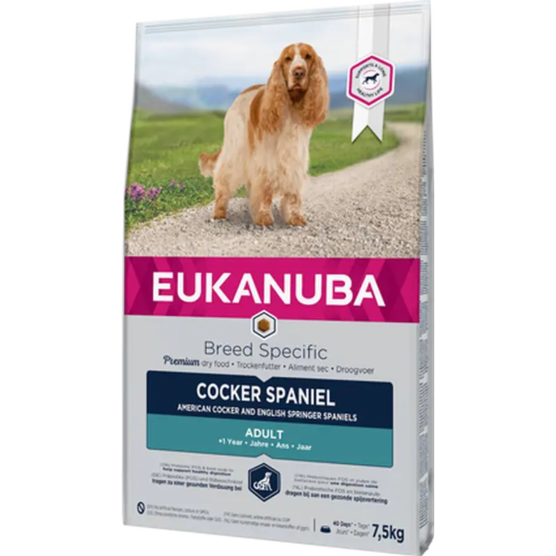 Dog Breed Cocker Spaniel