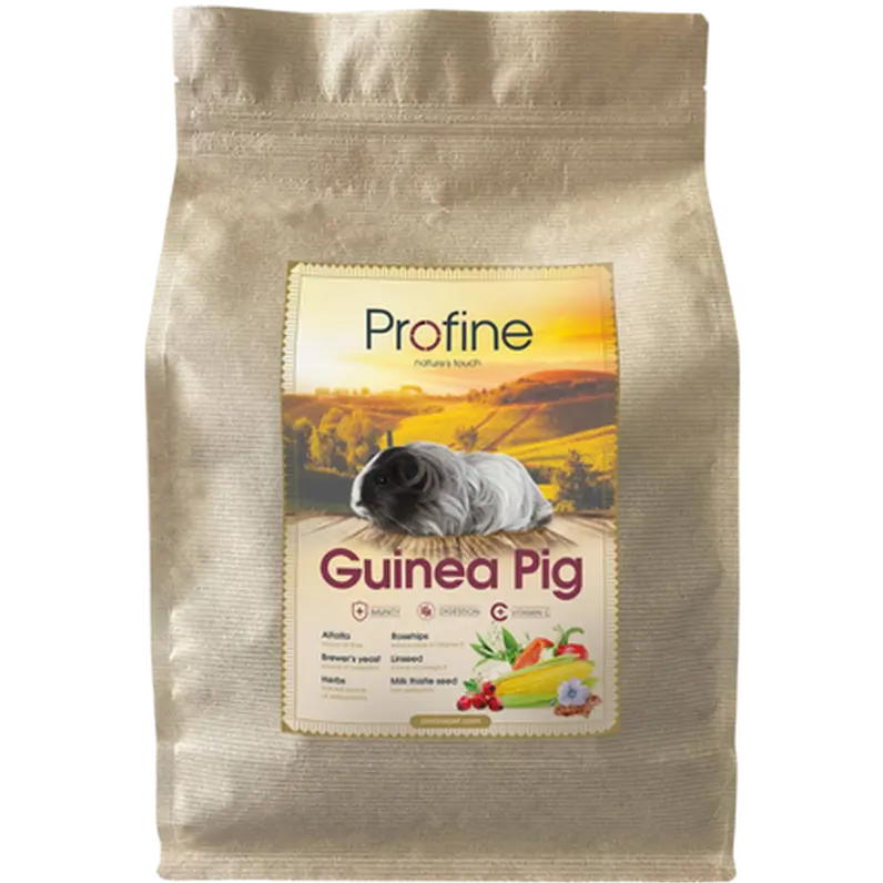 Animals Guinea Pig