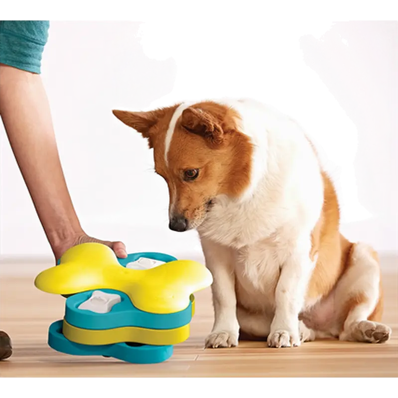 Dog Tornado Plastic, Level 2 (Intermediate)