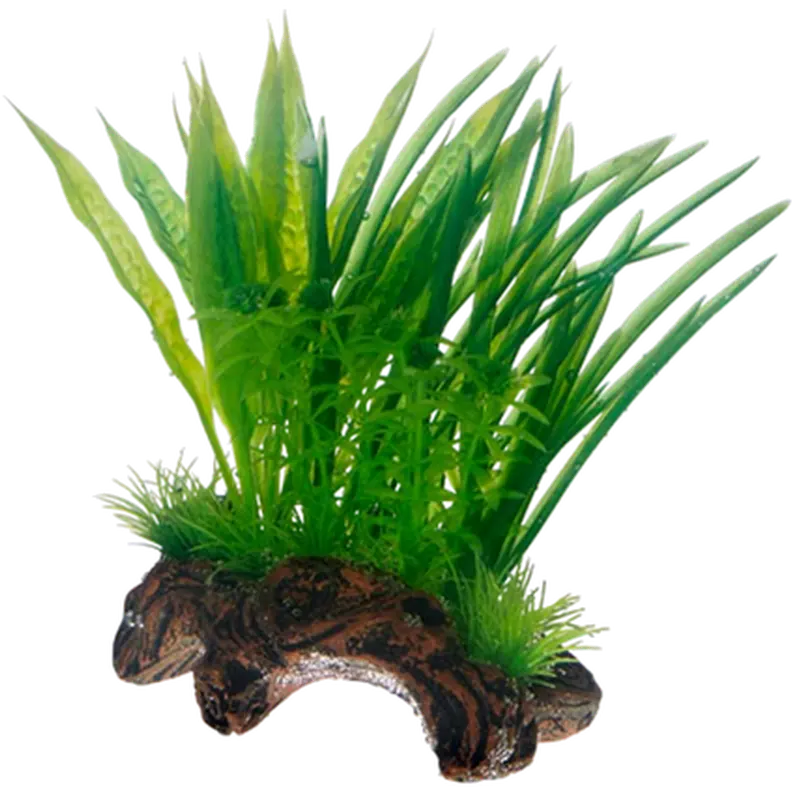Flora Root 1
