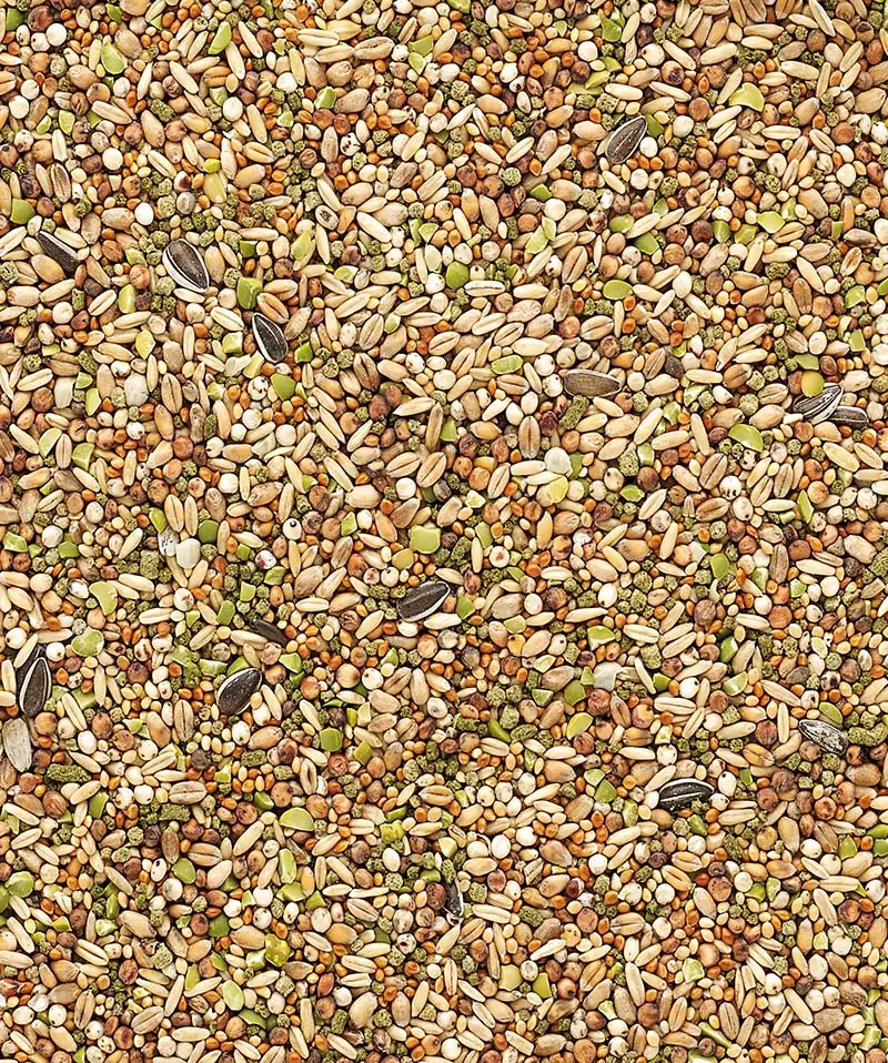 Country's Best Snack Garden Mix