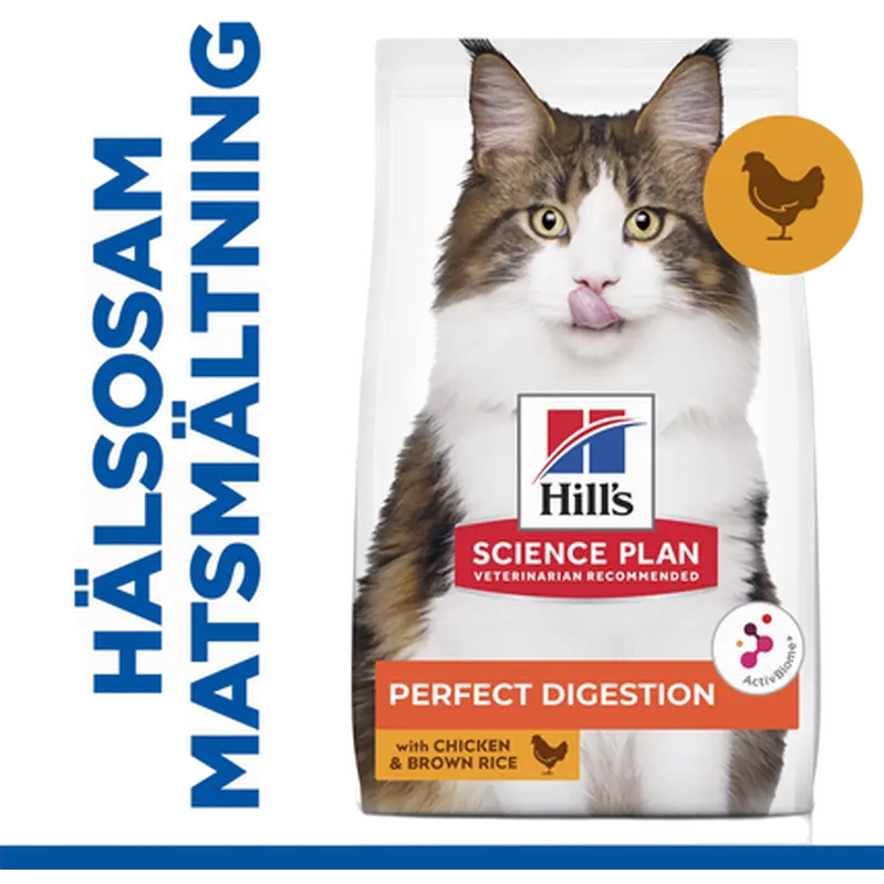 Adult Perfect Digestion Chicken & Rice - Dry Cat Food