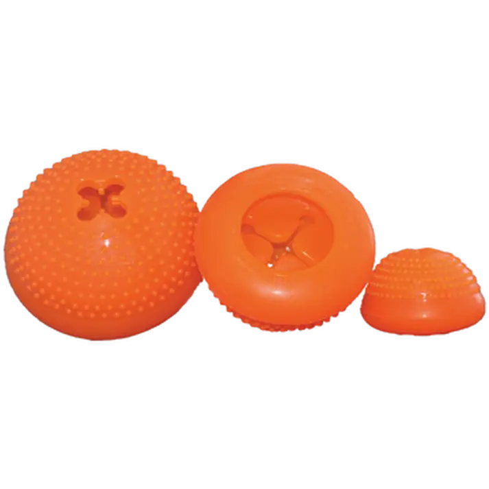 Everlasting Bento Ball