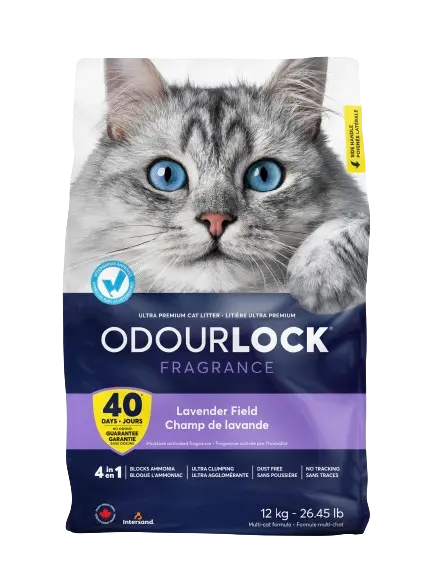 Intersand Odour Lock Lavender Field