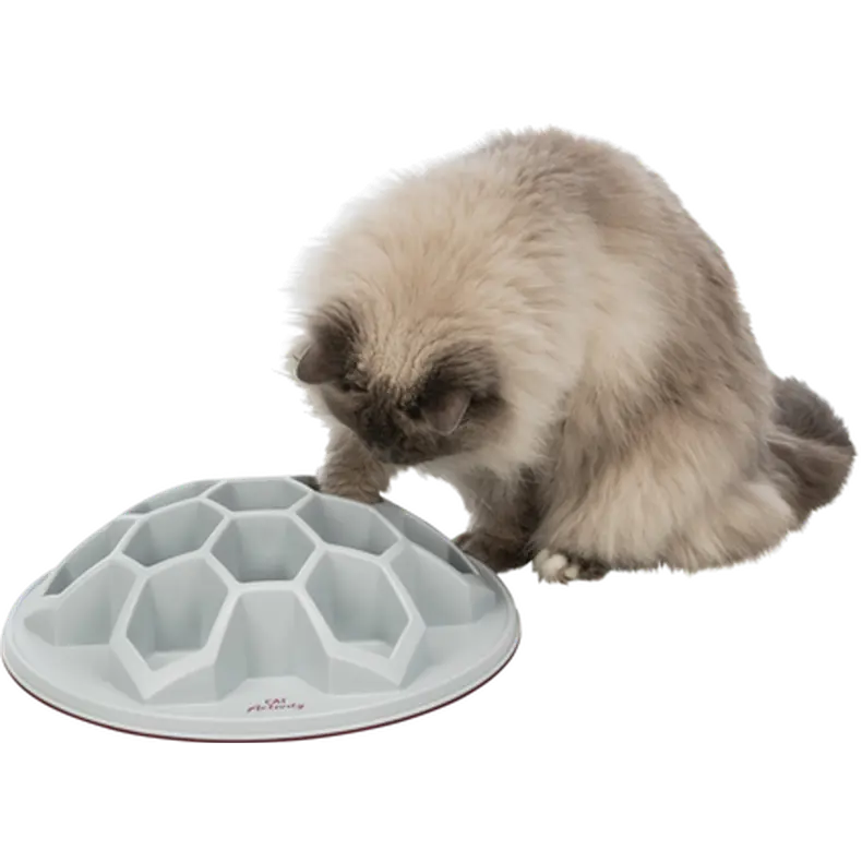 Cat Activity Snack Hive XXL Strategy Game