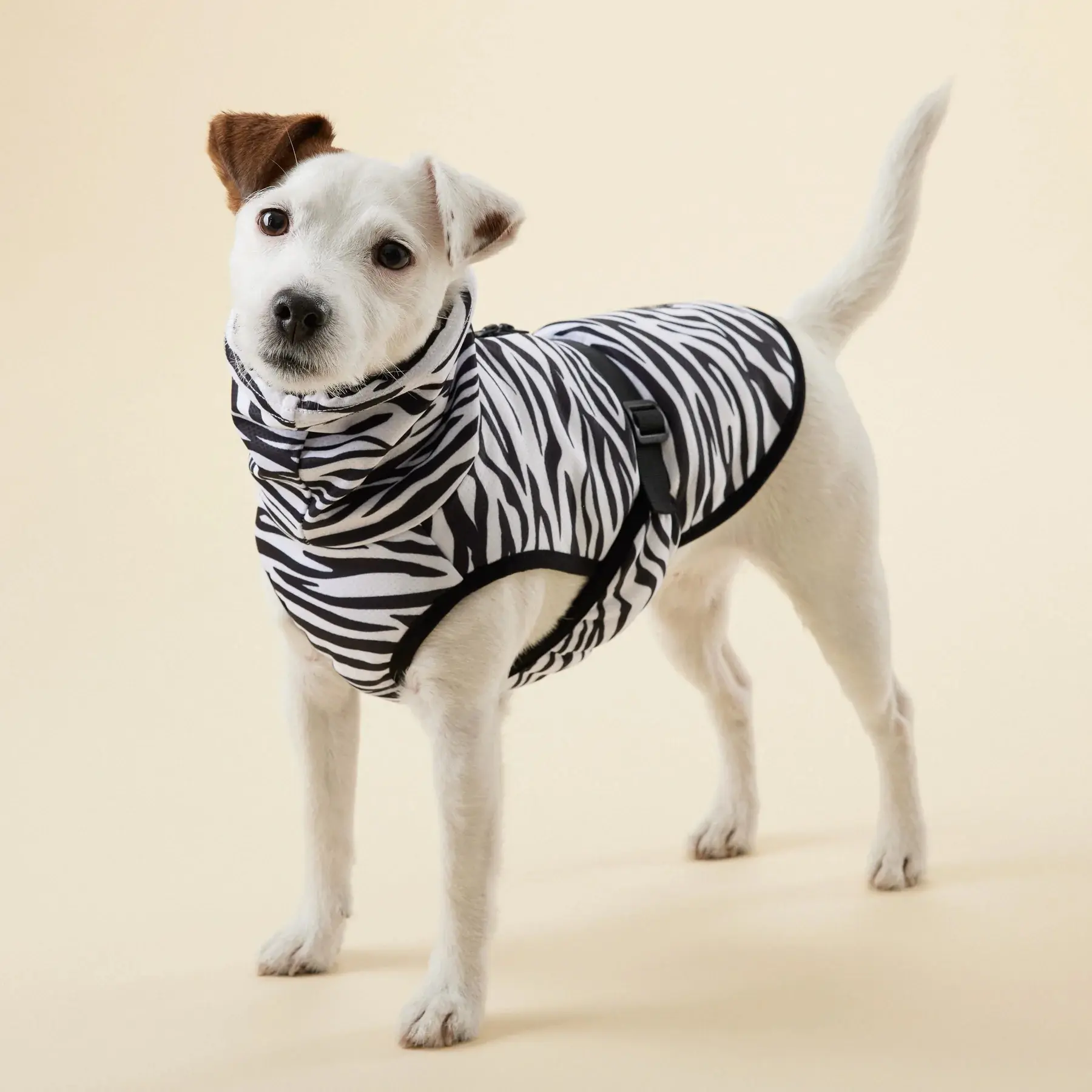 Cool & Bug Vest