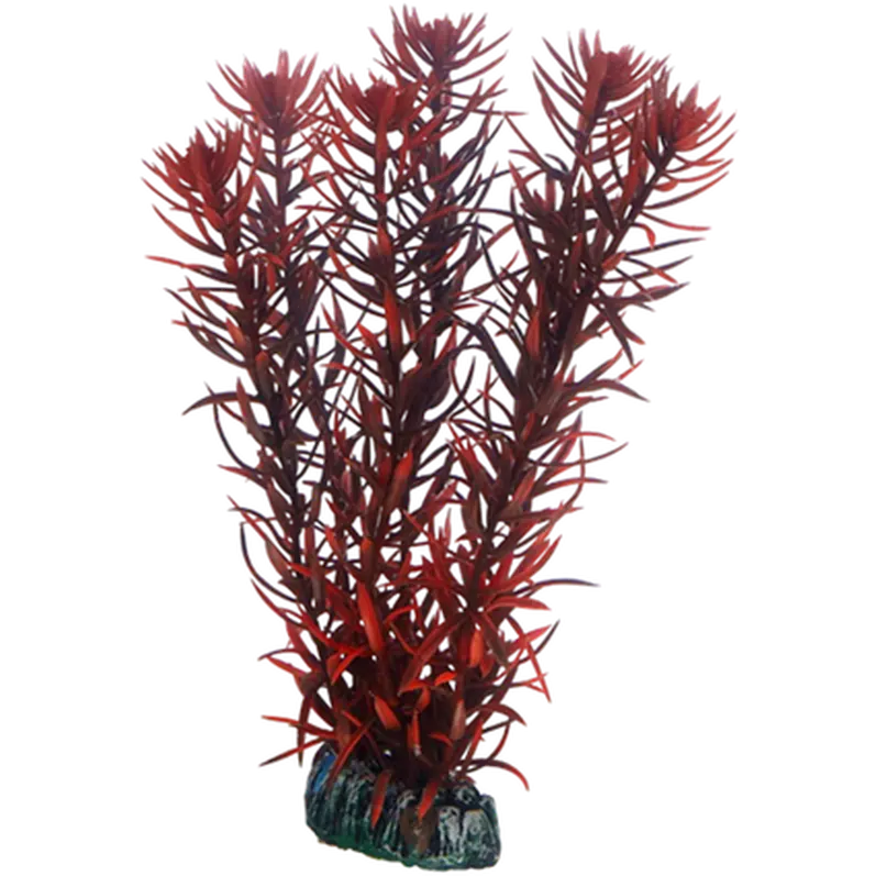 Eusteralis
