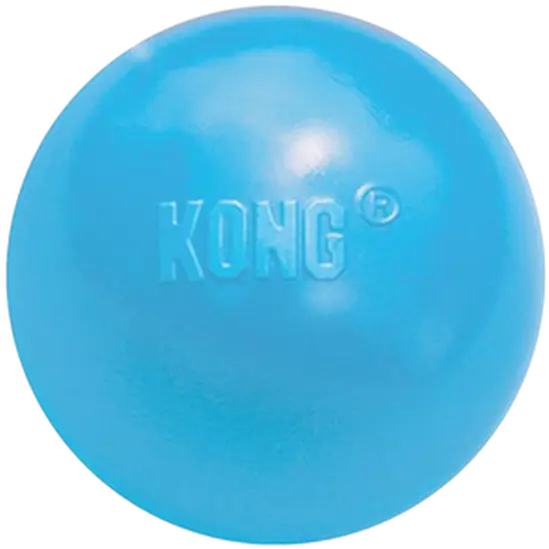 Puppy Ball with Hole Dog Toy