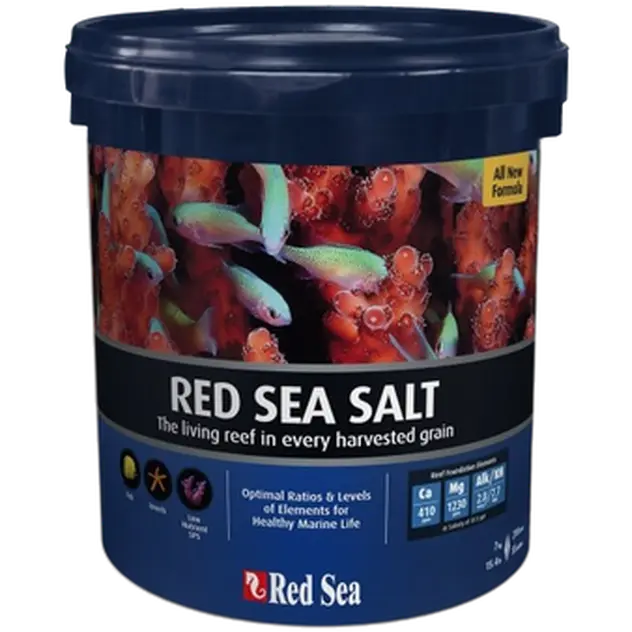 Salt Hink