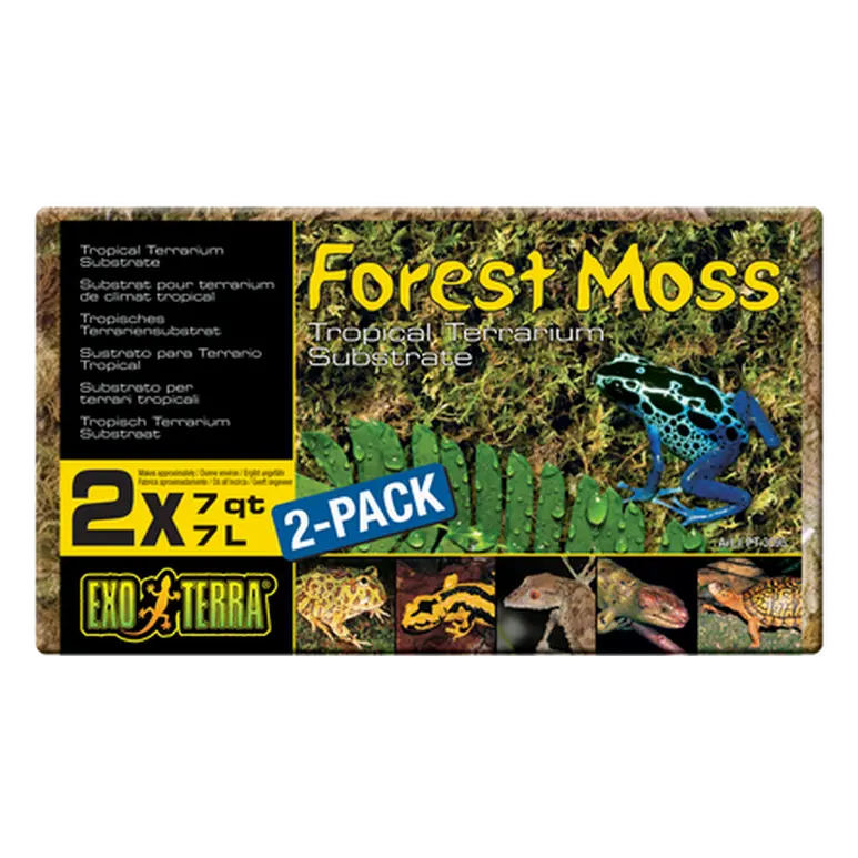 Forest Moss - Tropical Terrarium Substrate