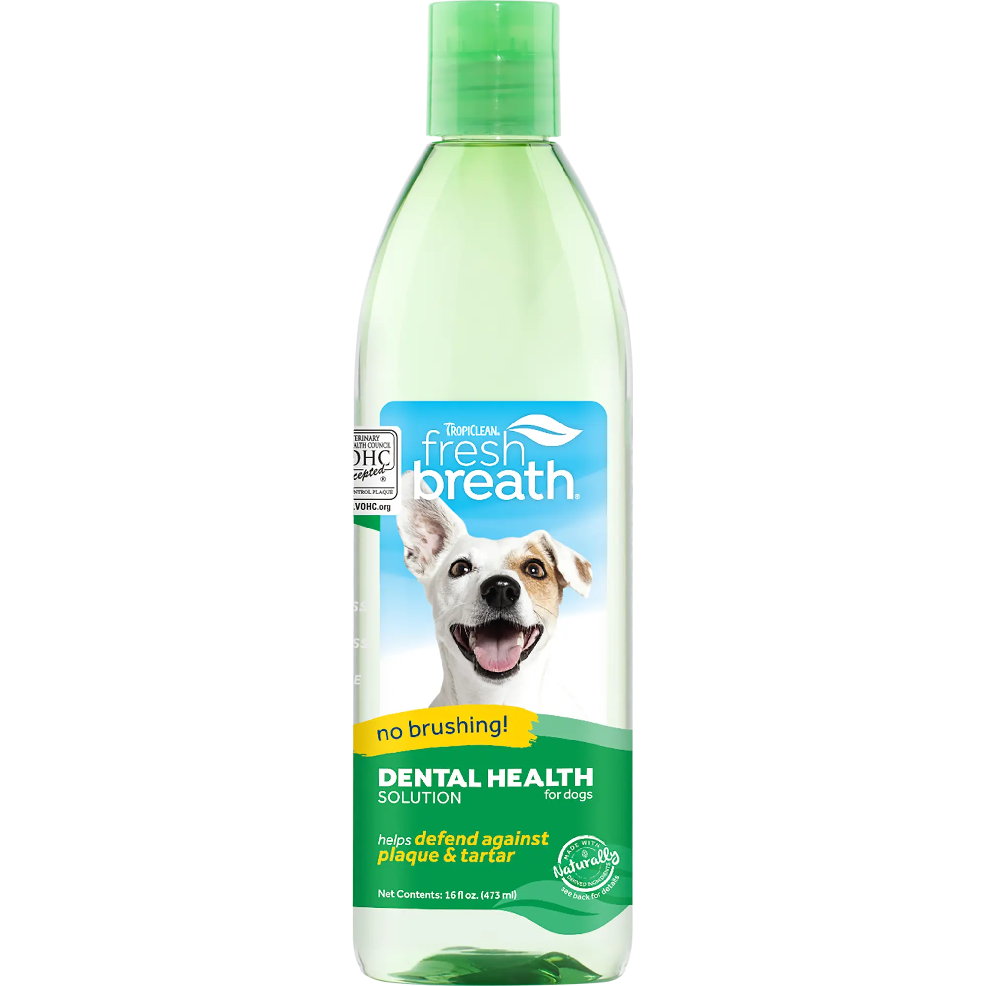 Fresh Breath Dental Health Solution