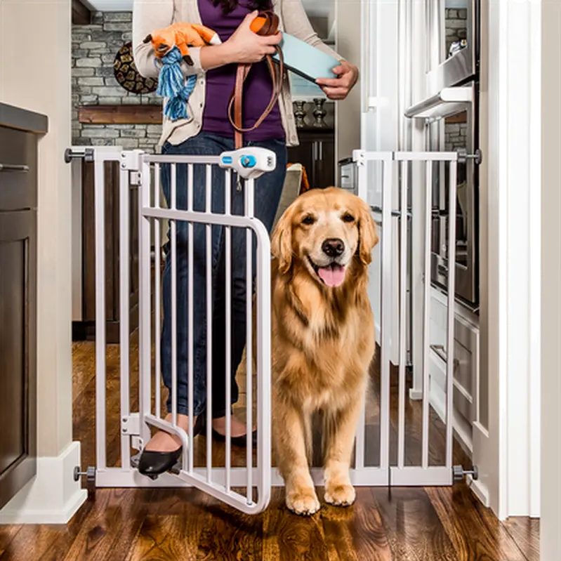 Pet Gate Hands-Free Walk-Through
