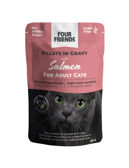 Cat Adult Salmon in Gravy Pouch