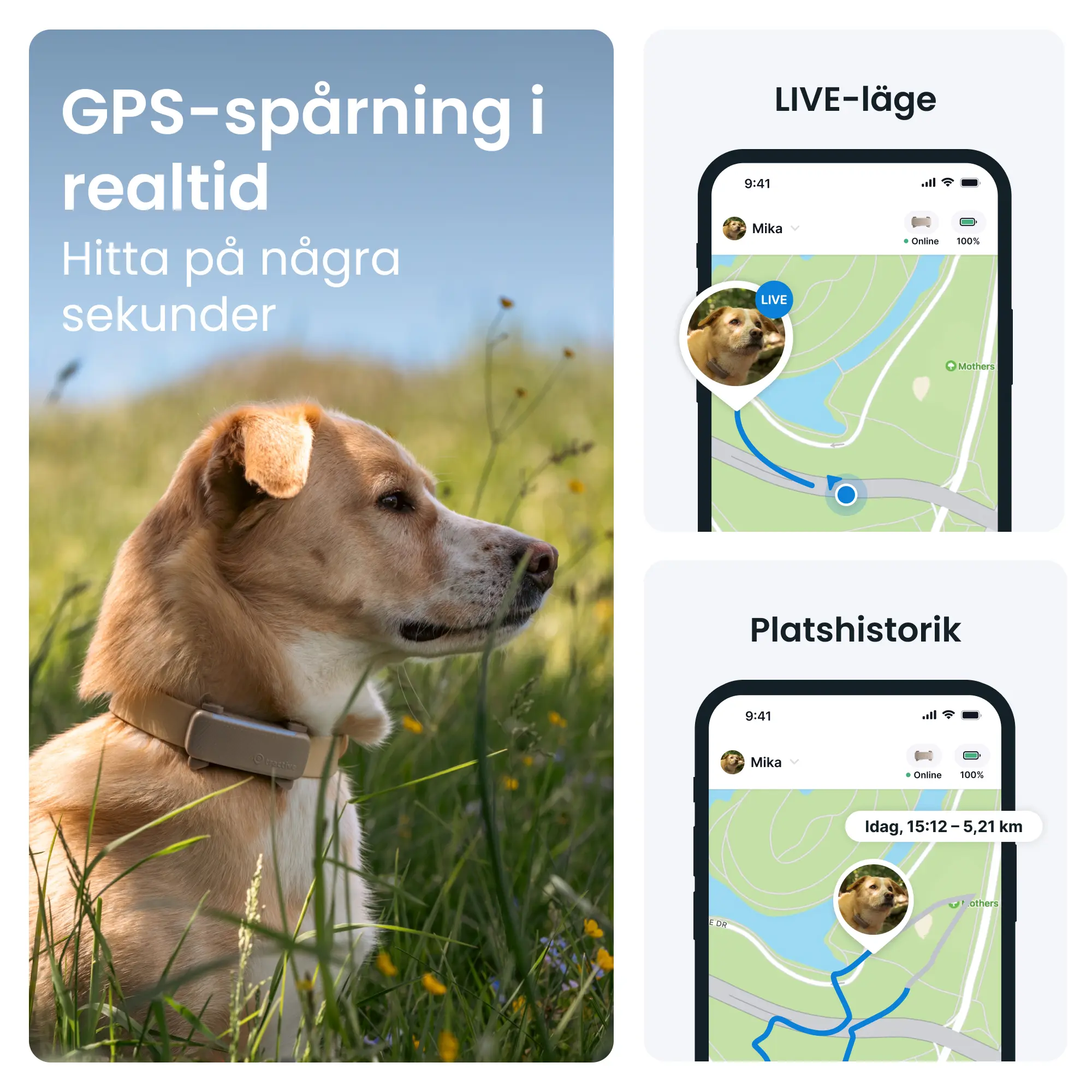 GPS Tracker för Hund Dog 6 - Brun