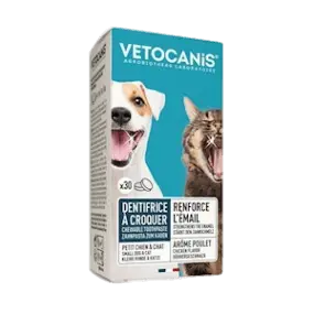 Cat Toothpaste Chewable