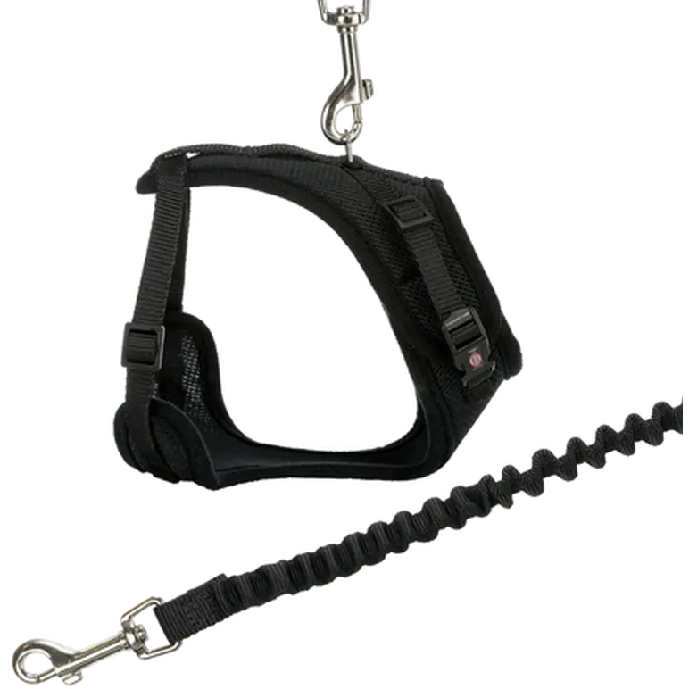 Cat Mesh Y-Harness with Fully Elastic Leash