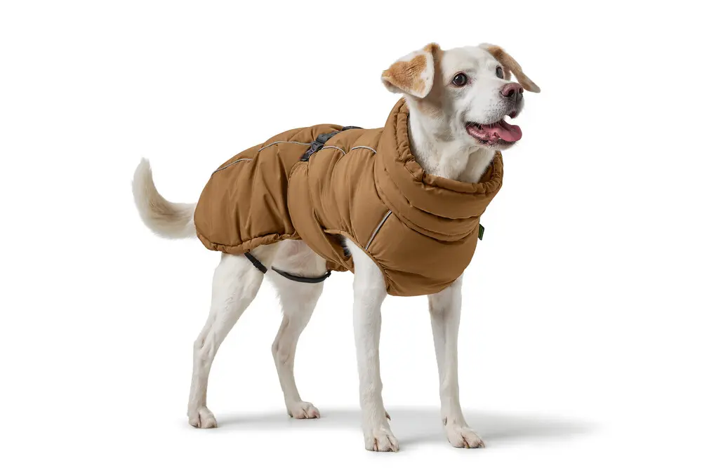 Coat Paxson Caramel