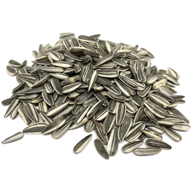 Striped Sunflower Seed (Solrosfrö)