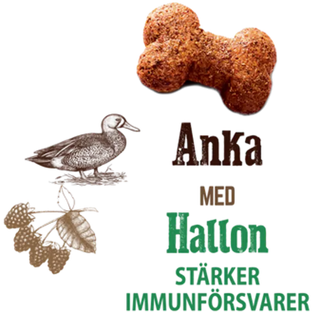 Cat Crunchy Snack Duck & Raspberries