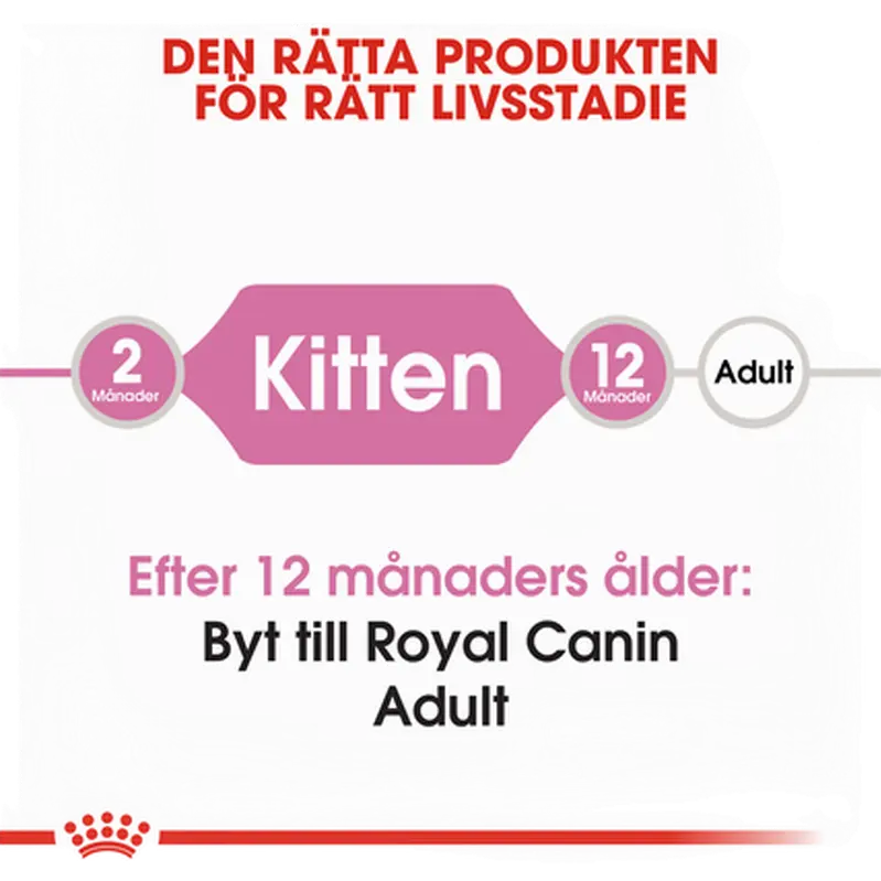 Kitten Torrfoder för kattunge