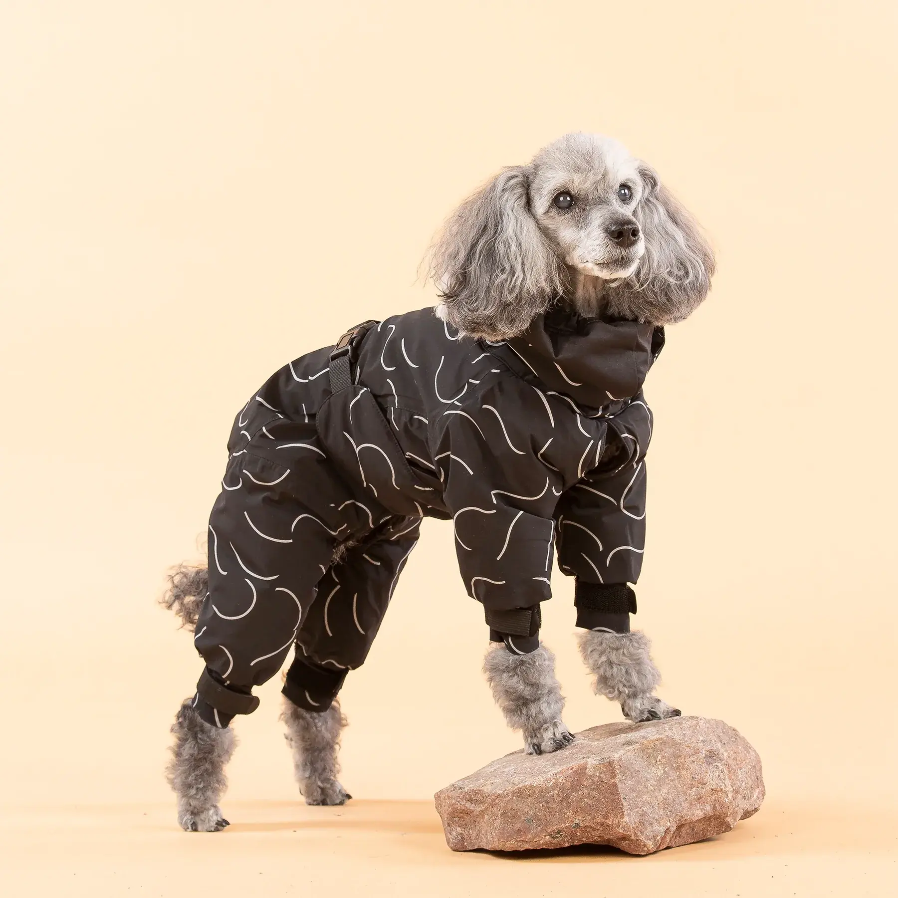 Winter Suit for Dogs