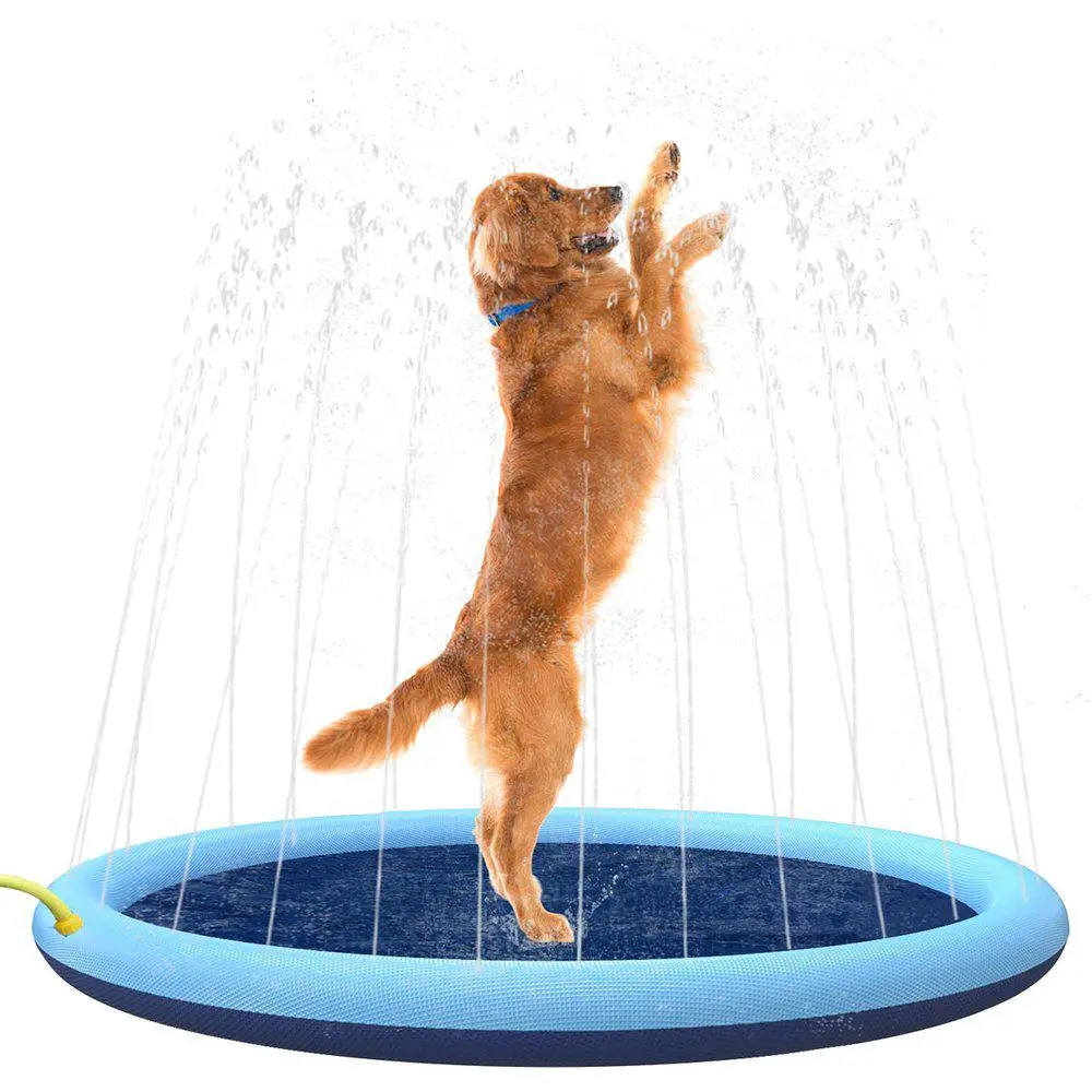 Dog Splash Pool Blå