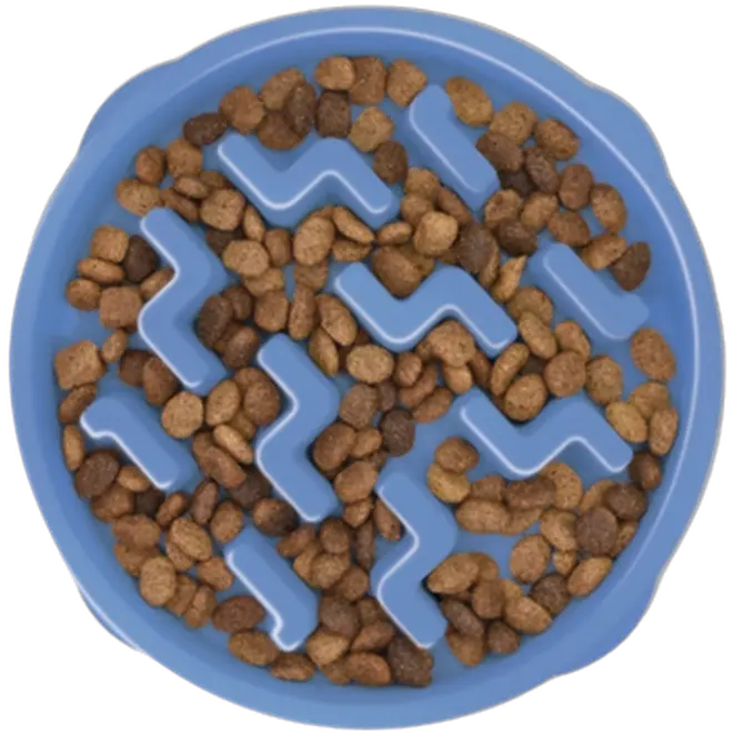 Fun Feeder Slo-Bowl Blue
