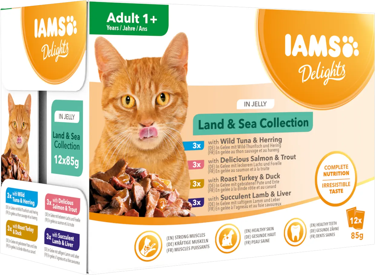 Cat Delights Jelly Multipack Land & Sea