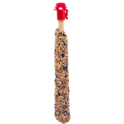 Kräcker Kanarie 2st Blommor och Frö