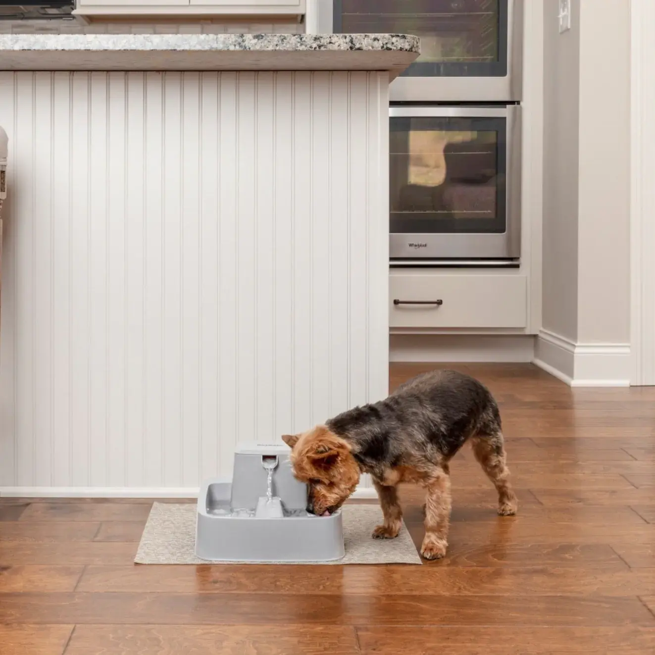 Pet Fountain
