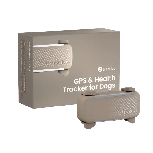 GPS Tracker för Hund Dog 6 - Brun