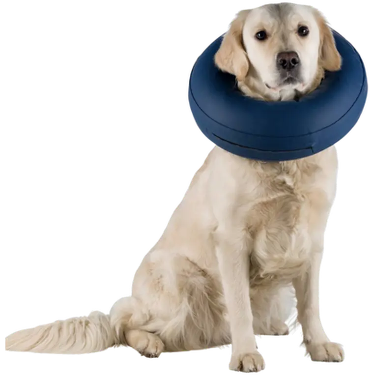 Protective collar Inflatable