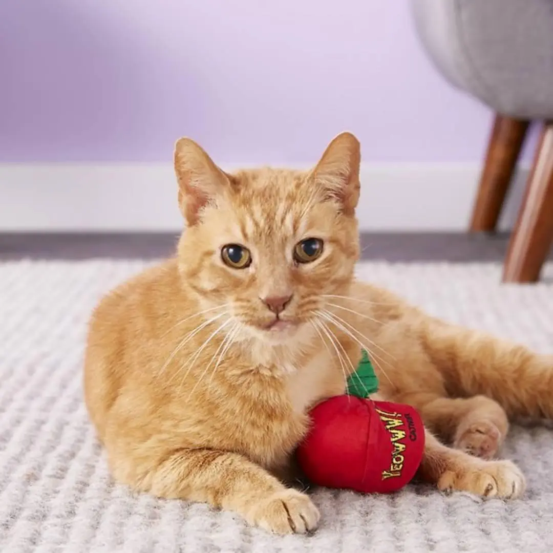 Catnip Cat Toy Apple