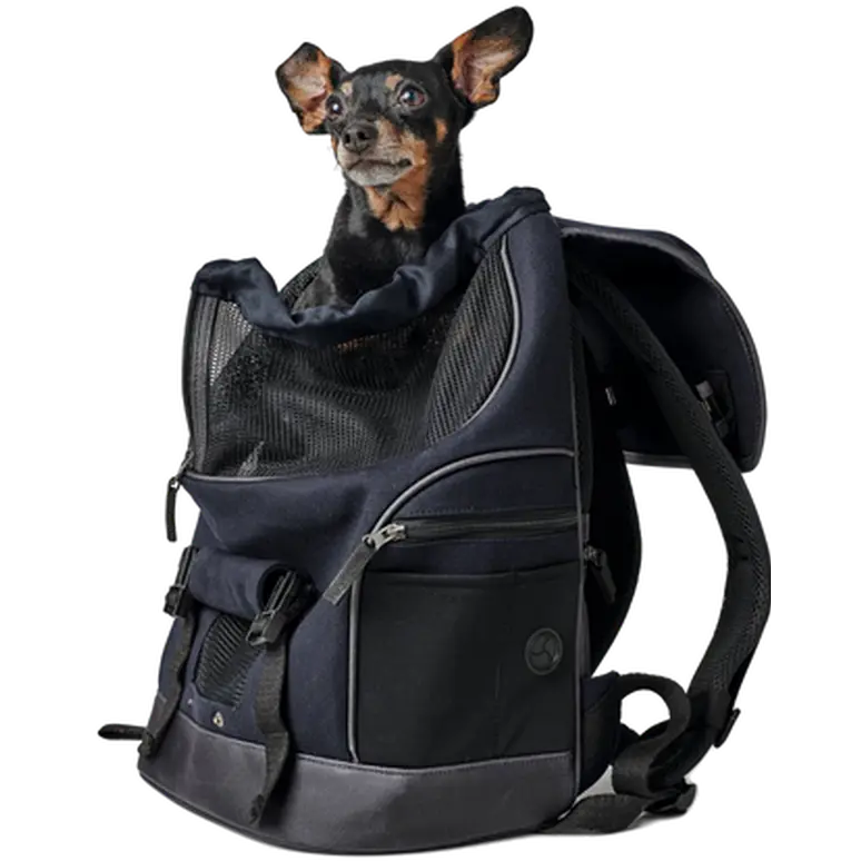 Dog & Cat Carry Bag Backpack Madison