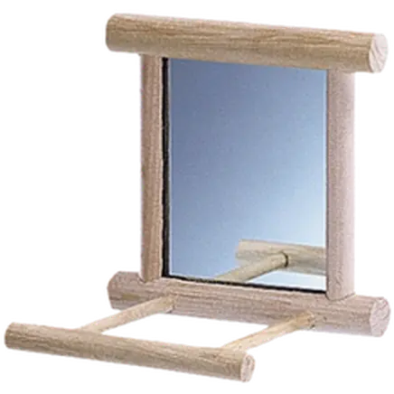 Cage Equipment Mirror Landing Place