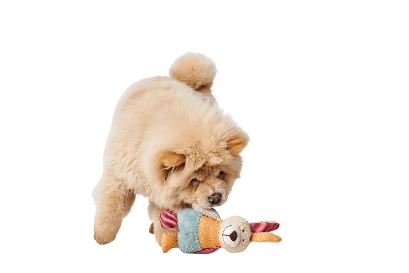 Toy Dog Muli Rabbit