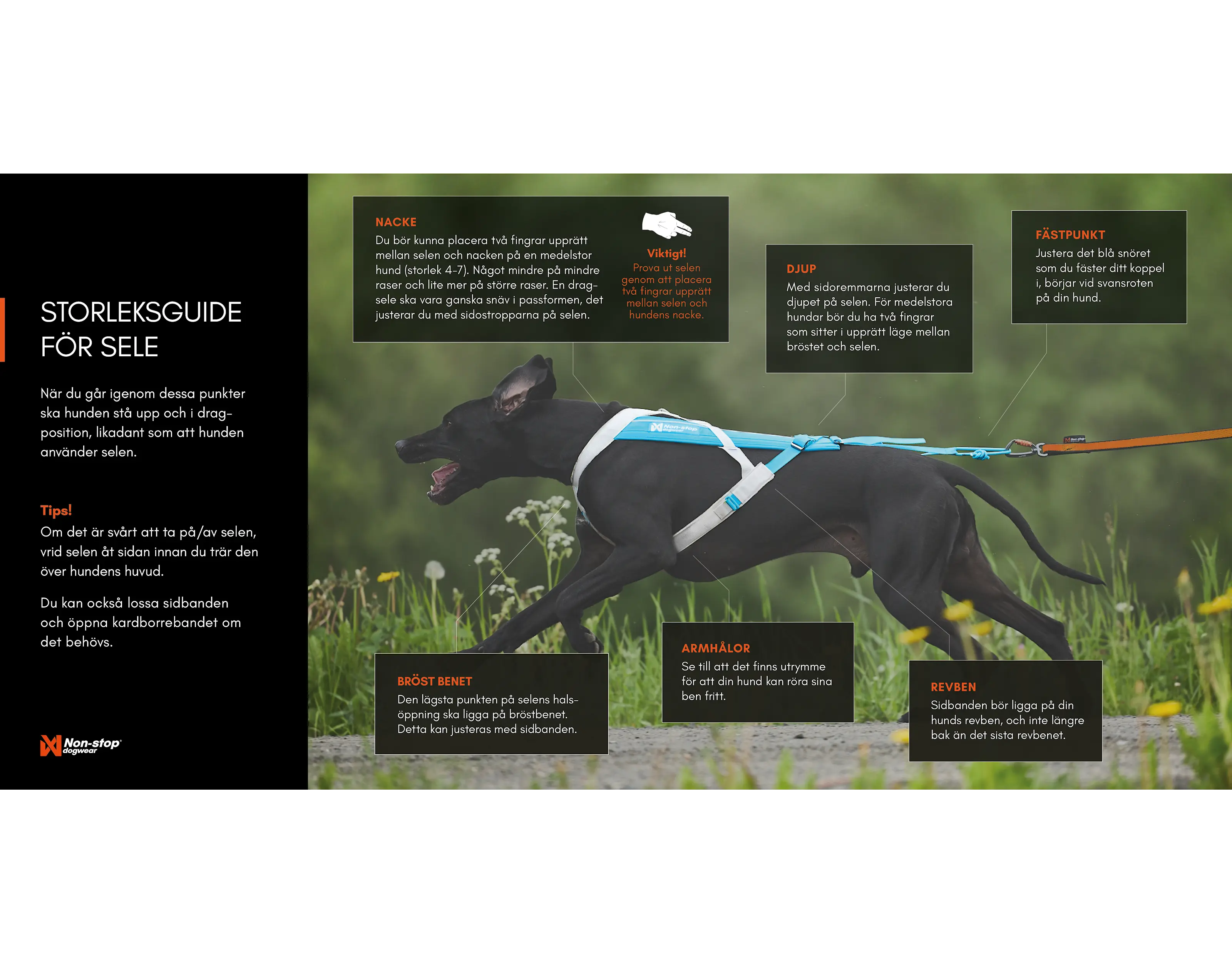 Freemotion harness 5.0 Teal