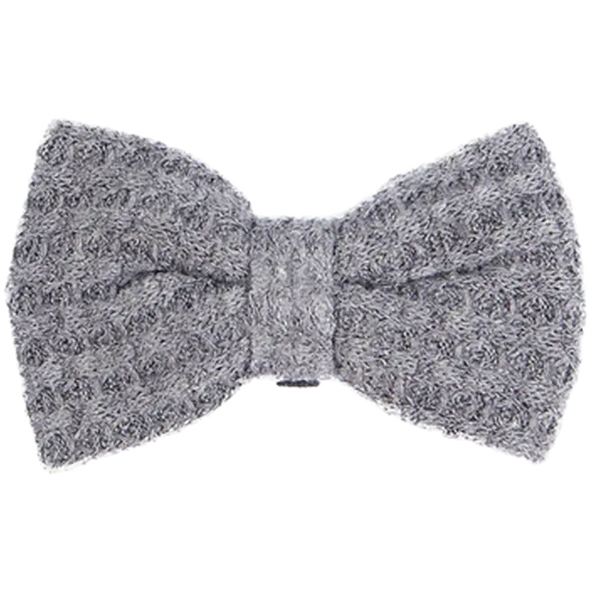 Collar Accessories Bow Iona