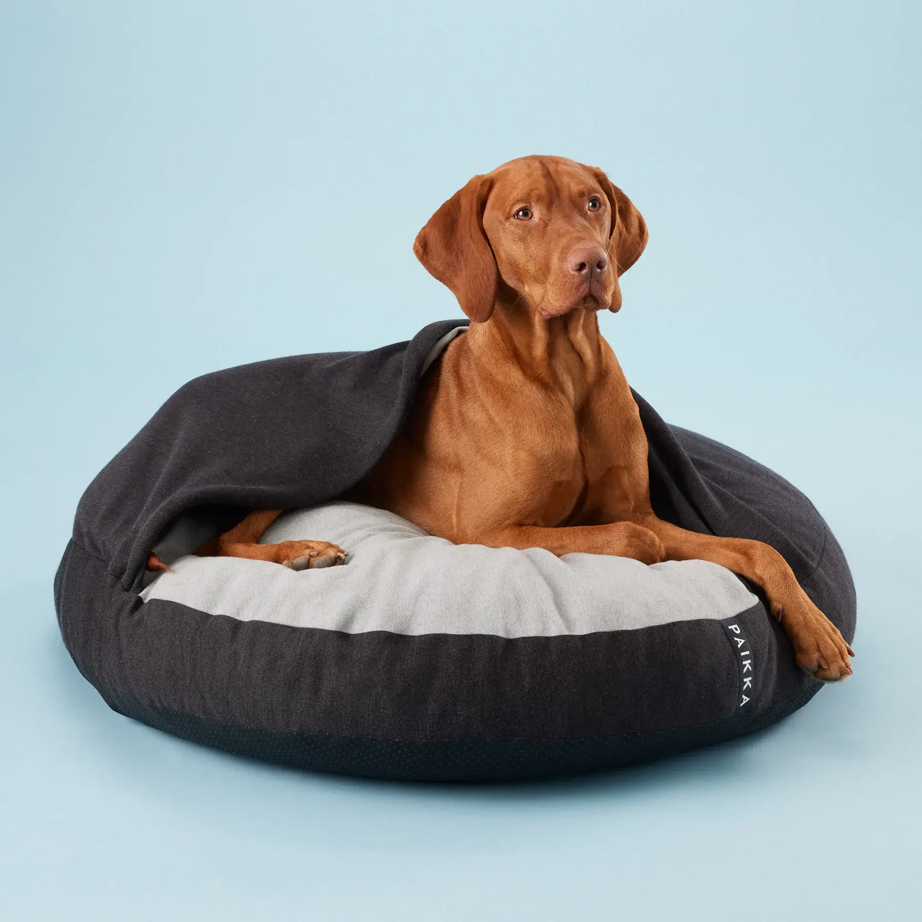 Recovery Burrow Bed