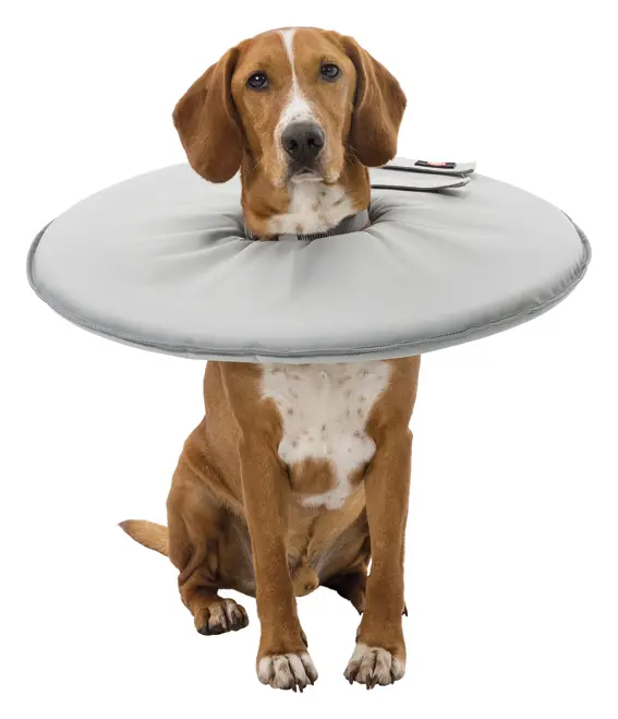 Hundkrage, mjuk