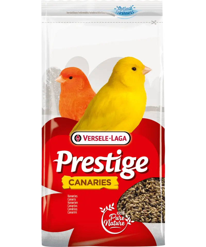 Prestige Canary (Kanarie)